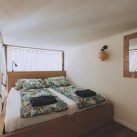 Appartement Tropical Chill