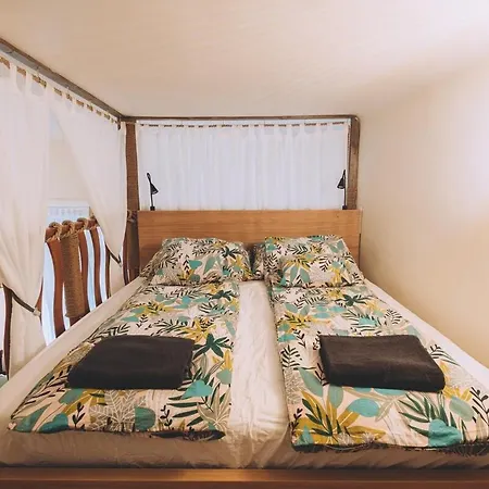 Tropical Chill Appartement *