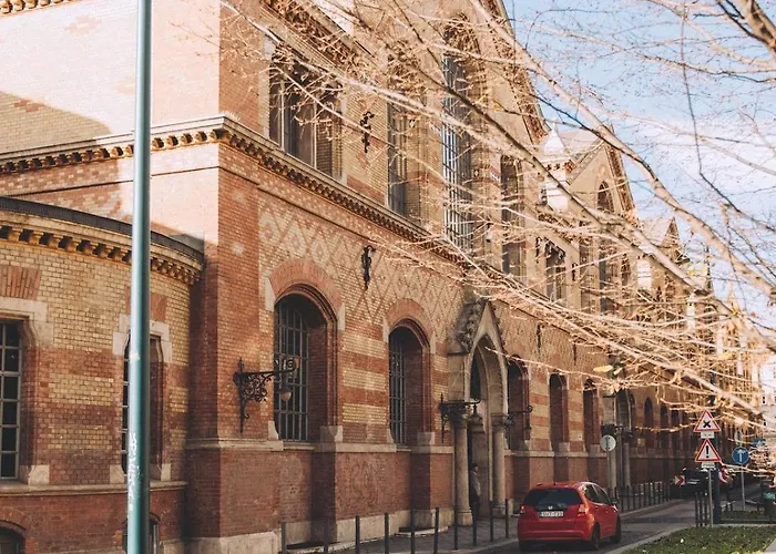 Tropical Chill Apartament