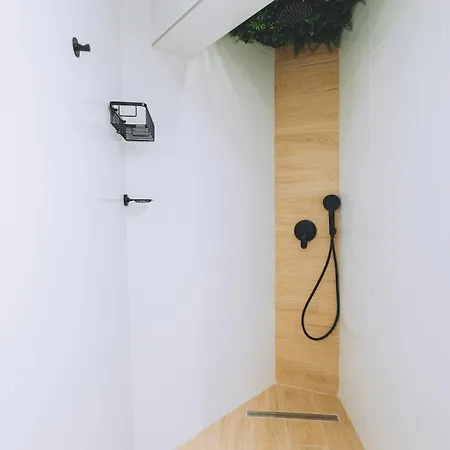 Apartment Tropical Chill